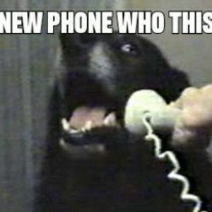 Meet your Posher, Zachary